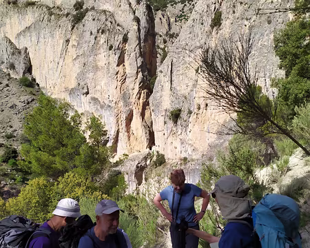 cfecb609-182d-430a-9672-a6c6184929f2