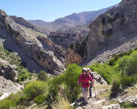 d6da95ae-1506-4f26-9f41-2aac3e73cc4f