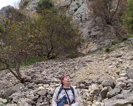 eb9fc231-335c-45b5-9f31-580678561aab