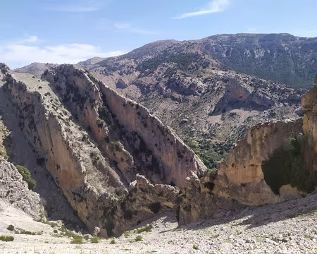 f5893479-f561-4ad3-81a4-384b41b95648