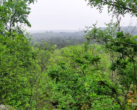 20230514-10h41m30s-1684078008093-V3