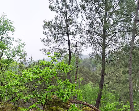 20230514-11h06m55s-1684078008074-V3