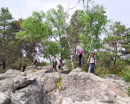 20230514-15h01m08s-1684077910492-V3