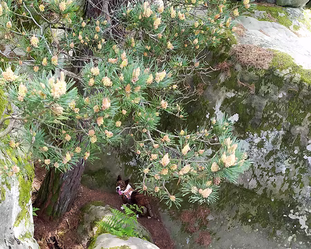 20230514-15h01m20s-1684077910481-V3