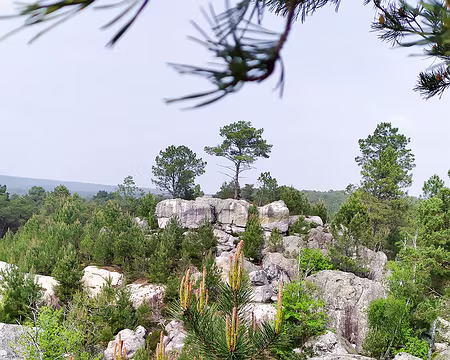 20230514-15h23m46s-1684077824556-V3