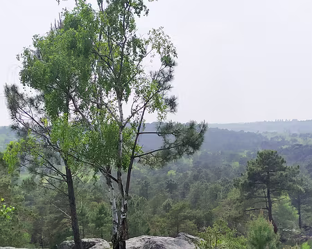 20230514-15h23m51s-1684077824541-V3