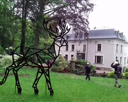 003 Cerf dans le parc de la mairie de Bois-le-Roi