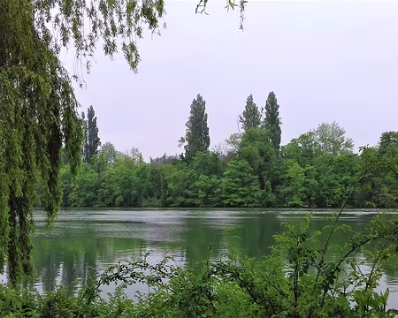 022 La Seine à Chartrettes