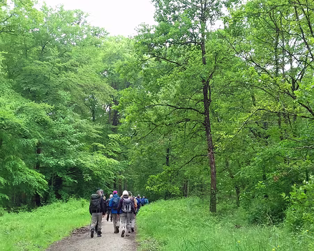 043 Sur la route Victor