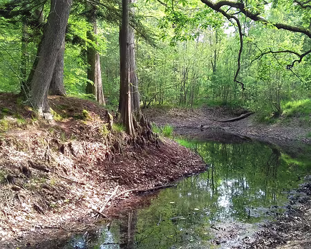 047 La mare aux Cerfs