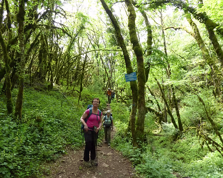 P1020904 sentier des crêtes B. Quarteaux