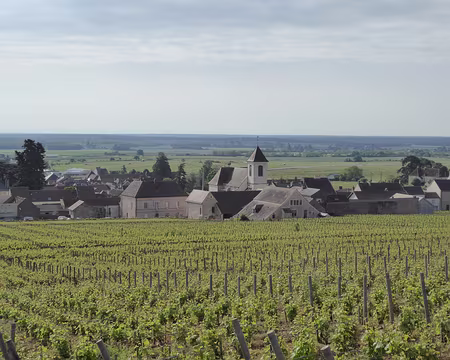 P1020921 départ de Morey-Saint-Denis