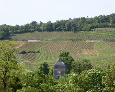 P1020926 Eglise de Chambolle-Musigny
