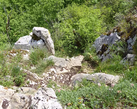 P1020929 tout droit descente J. Batier que nous éviterons