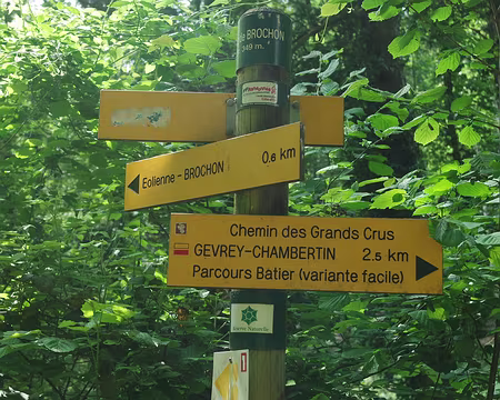 021 Chemin des grands crus Chemin des grands crus