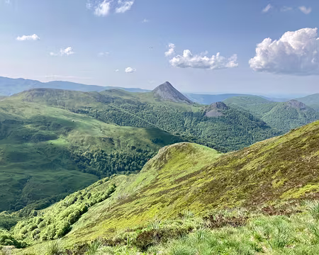 WhatsApp Image 2023-05-29 at 14.40.14