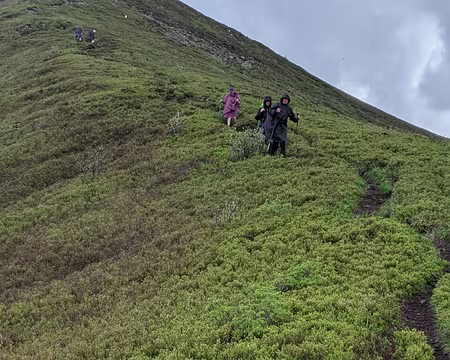 WhatsApp Image 2023-05-29 at 14.47.48