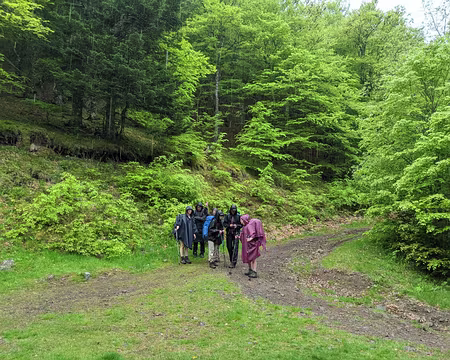 WhatsApp Image 2023-05-29 at 14.47.51