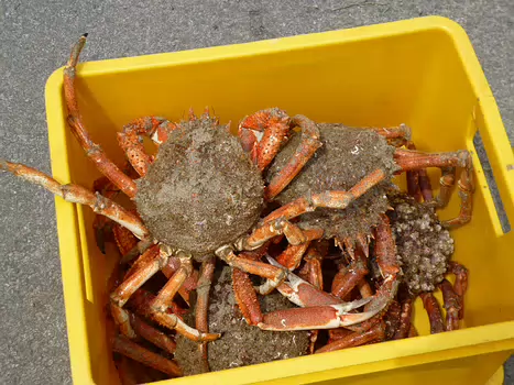 2023-05 Côte d'Armor