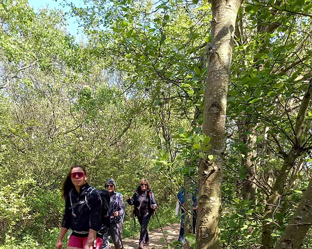 20230518_153423-01 Dans les dunes de la Slack