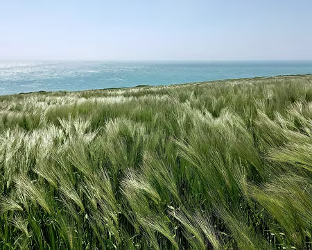 20230520_143002-01 Orge