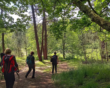 20230521_114455-01 forêt d'Ecault