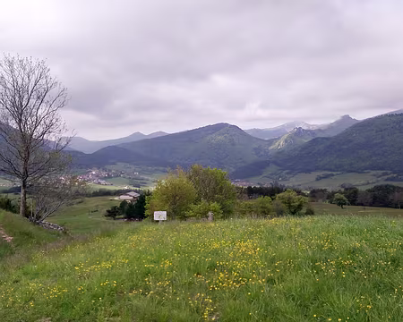 20230519-09h09m04s-P_20230519_090904-V3