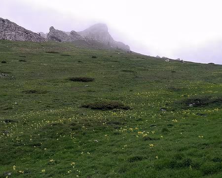 20230519-10h38m03s-P_20230519_103804-V3