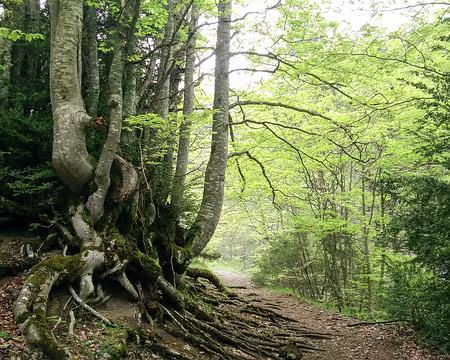 20230520-10h04m24s-P_20230520_100424-V3