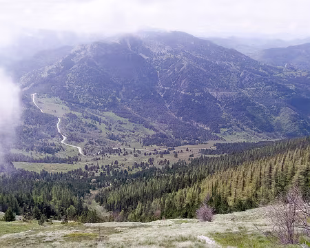 20230520-12h06m44s-P_20230520_120645_HDR-V3