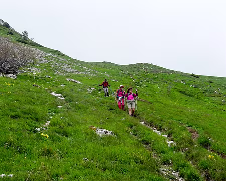 20230520-14h52m28s-P1300024-V3 Descente hors sentier...