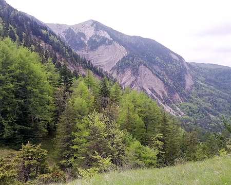 20230521-11h48m30s-P_20230521_114830-V3