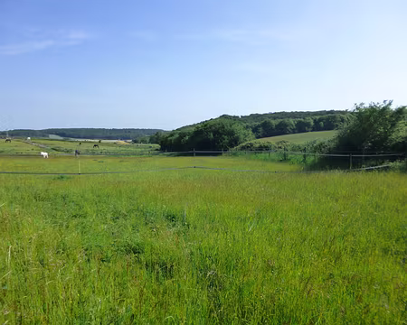 P1160898 Paysage du Hurepoix