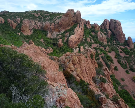 P1320942 Préface dans l'Estérel