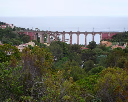 P1320949 Préface dans l'Estérel, Anthéor