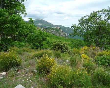 P1320952 Début de la rando-camping au-dessus de Grasse