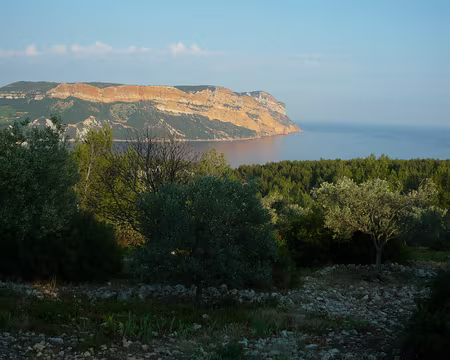 P1330092 Postface : Cassis incontournable