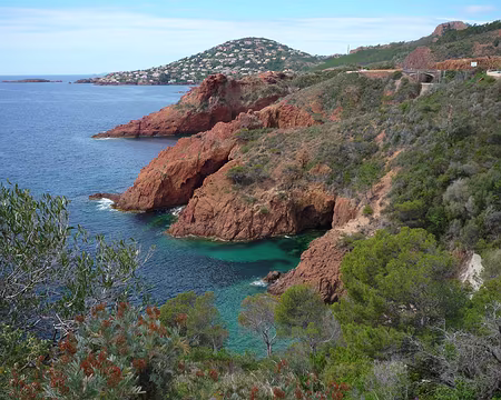 P1320935 Préface dans l'Estérel