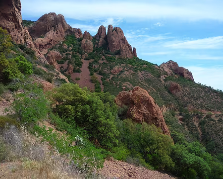 P1320938 Préface dans l'Estérel