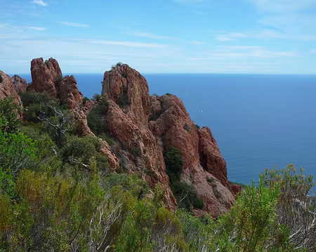 P1320940 Préface dans l'Estérel