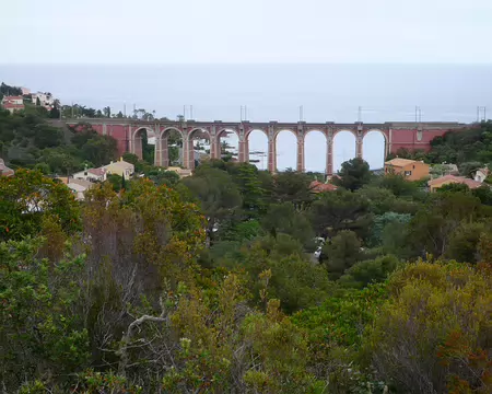 P1320949 Préface dans l'Estérel, Anthéor