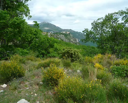 P1320952 Début de la rando-camping au-dessus de Grasse