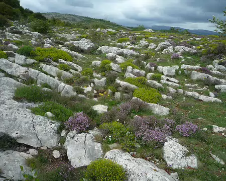 P1320961 Cherchons endroit plat, sans cailloux, pour 5 tentes ...