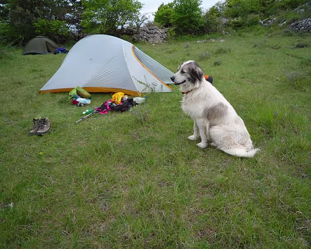 P1320962 Parfait, je peux aller au restau tranquille !