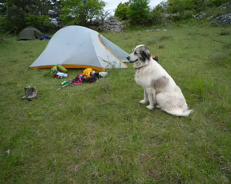 P1320962 Parfait, je peux aller au restau tranquille !
