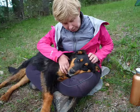 P1330043 Séance de transmission de puces ...