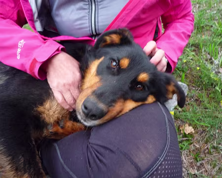 P1330044 Mais bien gentil quand même