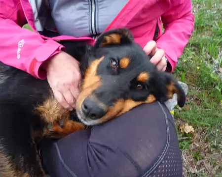 P1330044 Mais bien gentil quand même