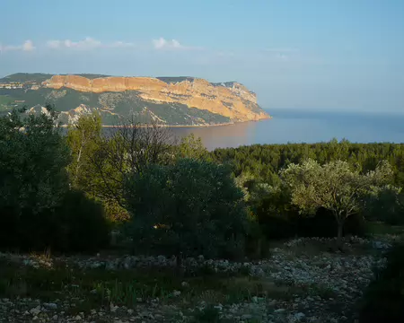 P1330092 Postface : Cassis incontournable