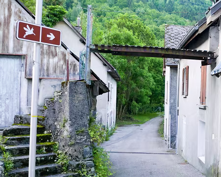 20230527-06h31m10s-PXL_20230527_043109376-V3 Chamois-ailé !